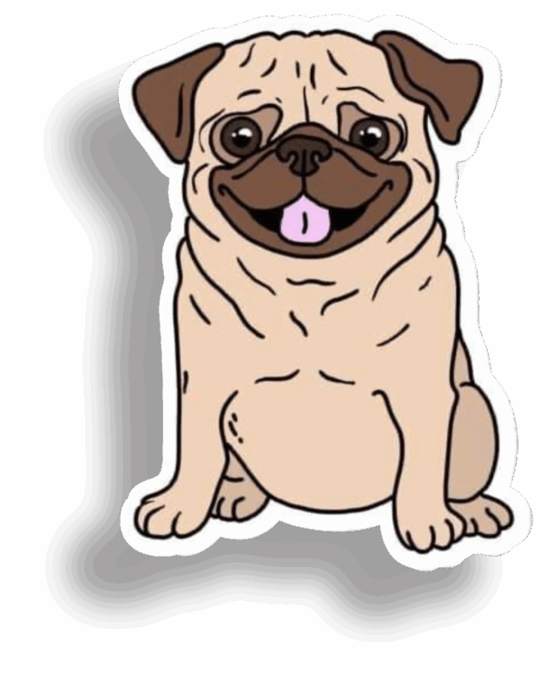 Pug