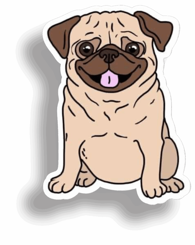 Pug